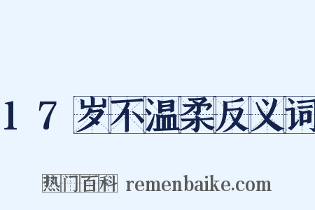 17岁不温柔反义词是什么意思的图片
